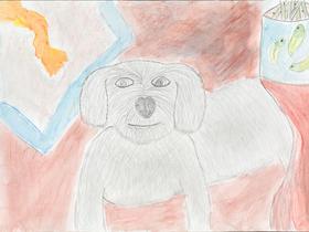 Matija Žokš Foto: Radio Slovenija