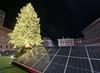 Božično drevo v Rimu razsvetljeno z 