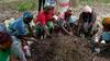 Senegalec namerava s somišljeniki v petih letih posaditi pet milijonov dreves