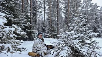 Švedska vlada odobrila množičen odstrel volkov. Strokovnjaki ogorčeni.