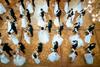 Dunajski plesi po dveh letih premora znova v polnem sijaju