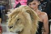 Lev, leopard, volk in podoba pekla – Schiaparelli z modno revijo v Parizu dviga prah