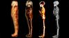 Egipčani virtualno odvili 2300 let staro mumijo 