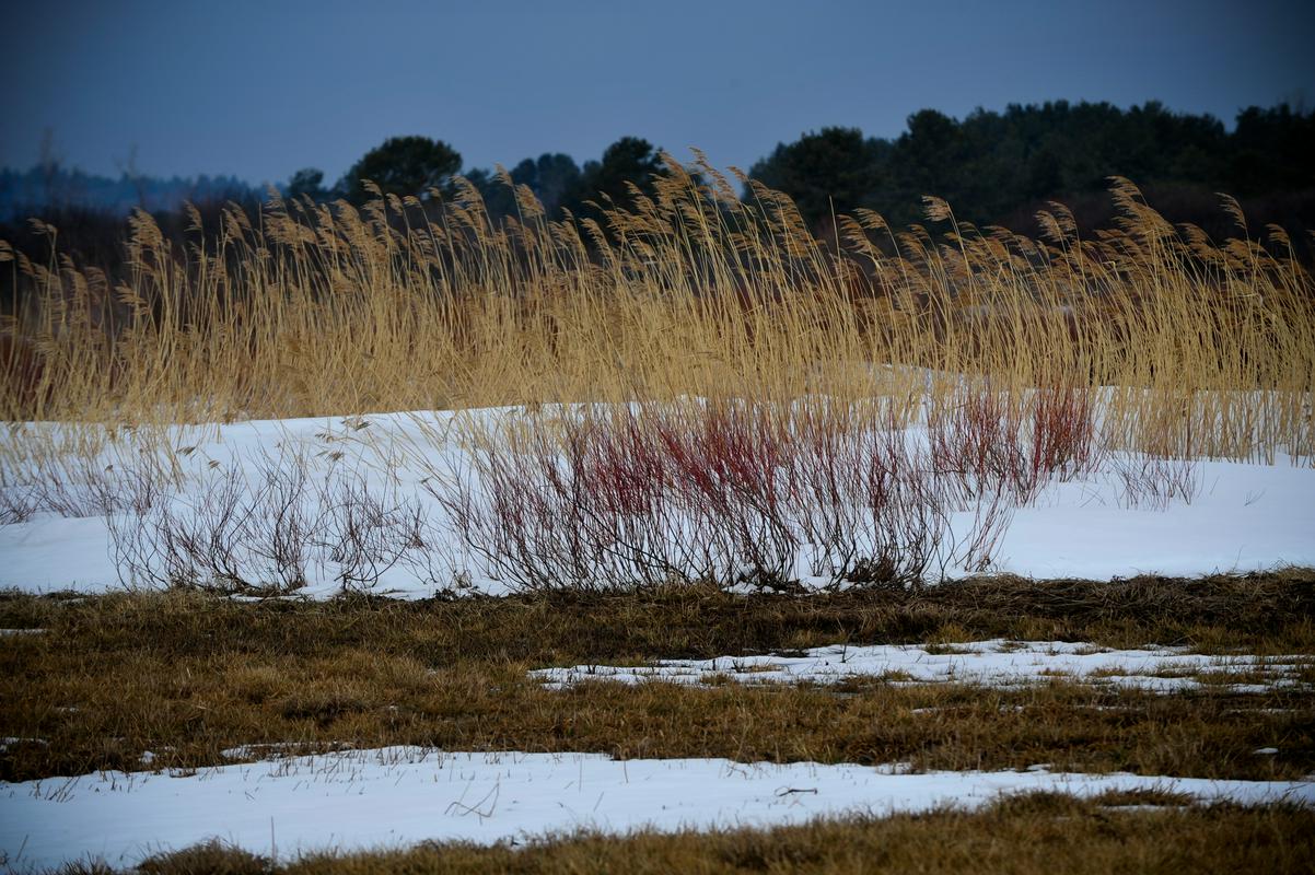 Zasneženo območje Cerkniškega jezera. Foto: BoBo