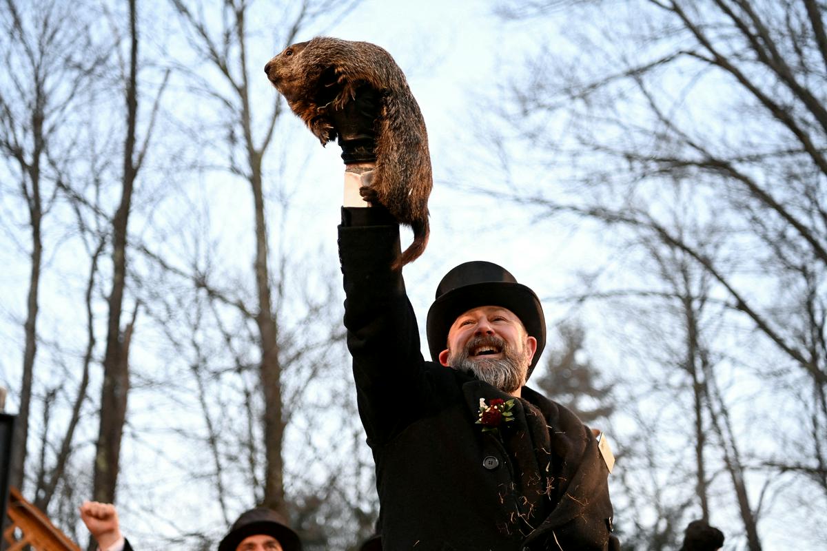 Več sreče s svizcem so imeli v Pensilvaniji, kjer je znameniti svizec Phil napovedal še šest tednov zime. Foto: Reuters