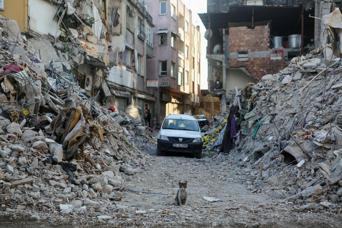 Uničenje v mestu Antakya. Foto: Reuters