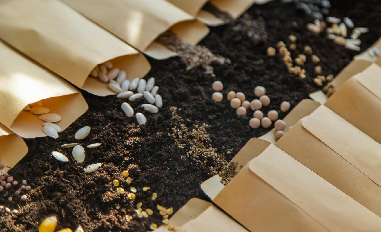 V knjižnicah je na voljo precej različnih vrst semen. (Fotografija je simbolična.) Foto: Shutterstock
