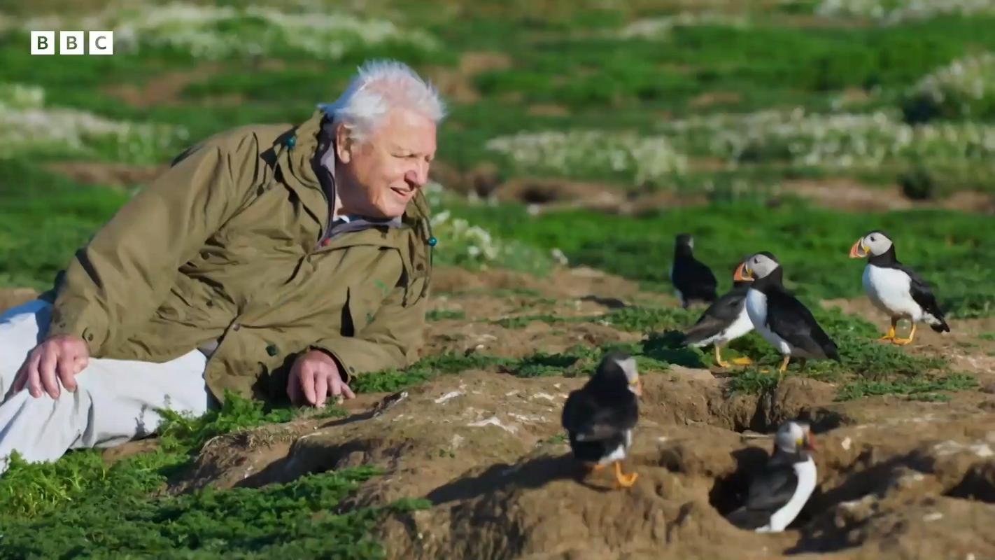 96-year-old David Attenborough returns with the highly anticipated docuseries Wild Islands.  Photo: Youtube