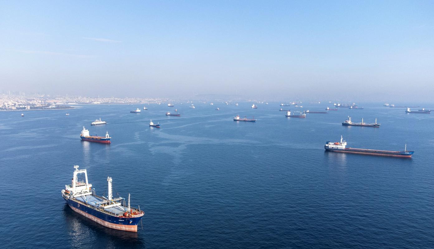 Erdogan je povedal, da je v sklopu dogovora iz ukrajinskih pristanišč izplulo 800 ladij s 25 milijoni ton žita. Foto: Reuters