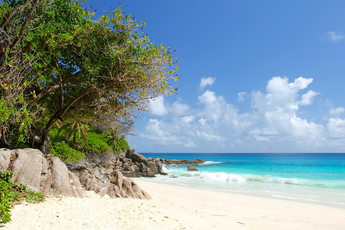 Sejšeli so med najbolj priljubljenimi turističnimi otočji v Indijskem oceanu, ki znova opažajo porast prihoda tujih turistov po koronskem zatišju. Foto: Pixabay