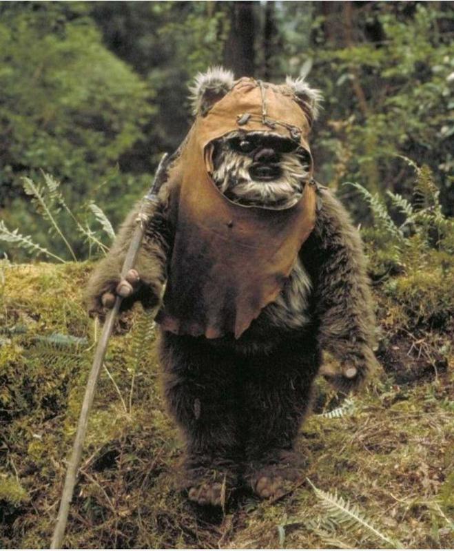 Paul Grant kot ewok v Jedijevi vrnitvi. Foto: IMDb