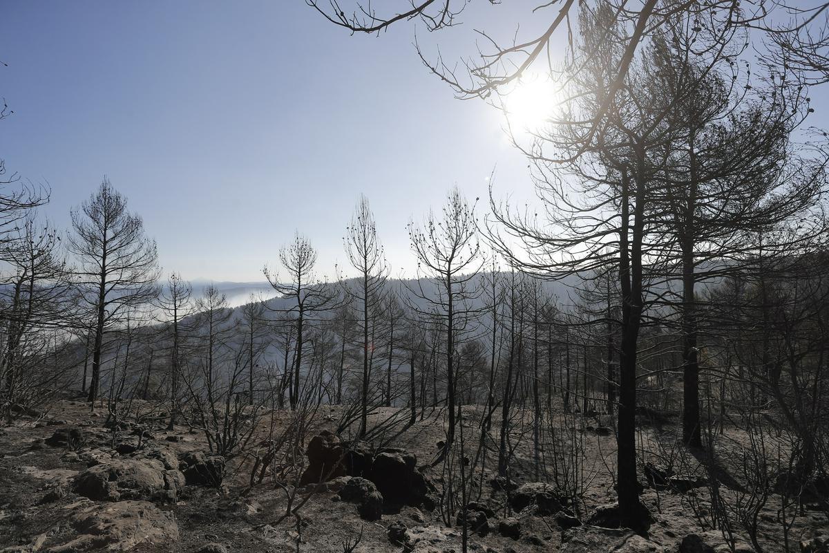 Posledice požara v Teruelu. Foto: EPA