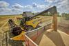 Poljska bo prepovedala uvoz poceni žita iz Ukrajine