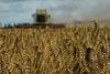 EU ne bo podaljšal omejitev uvoza žita iz Ukrajine v pet vzhodnih članic