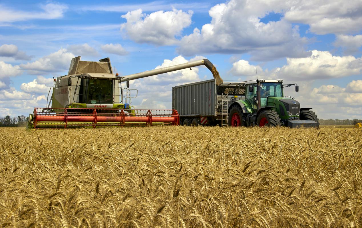 Evropski kmetje menijo, da poceni ukrajinsko žito predstavlja nelojalno konkurenco. Foto: EPA