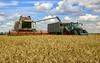 Bruselj bo za pomoč kmetom zaradi ukrajinskega žita namenil še 100 milijonov evrov