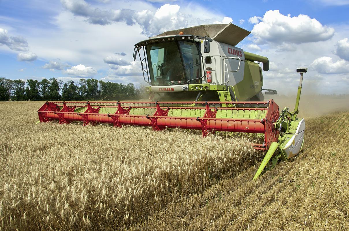 Kmetje v srednjeevropskih državah se pritožujejo, da ukrajinsko žito predstavlja nelojalno konkurenco. Foto: EPA