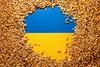 Bruselj in pet članic EU-ja z dogovorom o žitu iz Ukrajine 