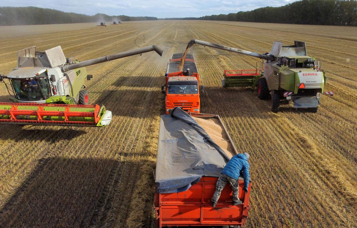 Srednjeevropski kmetje se pritožujejo, da ukrajinsko žito predstavlja nelojalno konkurenco. Foto: Reuters