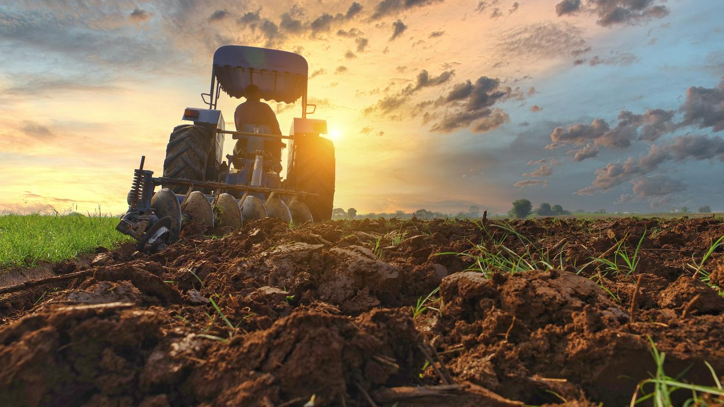 Organizmi v kmetijskih tleh so bolj ogroženi zaradi številnih motenj, ki so jim ves čas izpostavljeni. Foto: Shutterstock