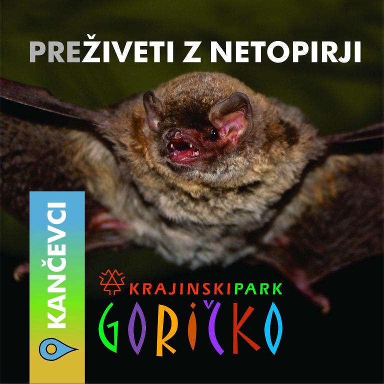 Fotó: Goricskói Natúrpark