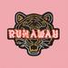 OneRepublic – Runaway