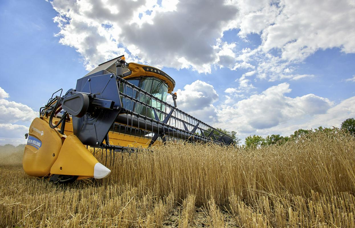 Ukrajinsko žito naj bi predstavljalo nelojalno konkurenco. Foto: EPA