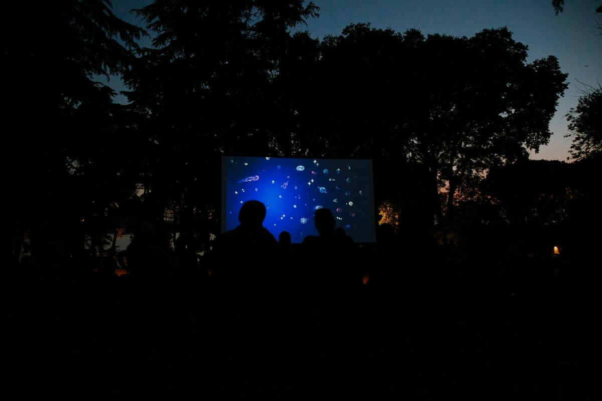 Video on the Beach brings an eclectic themed program of short films in the evenings.  Photo: Kino Otok