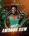 Amadou Sow bo eden od stebrov Cedevite Olimpije