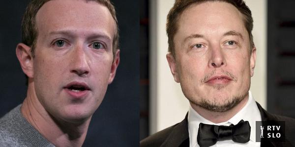 Musk x Zuckerberg: os dois bilionários da tecnologia se enfrentam em uma luta (lúdica)