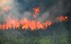Rekordna požarna sezona: v Kanadi pogorelo za več kot štiri Slovenije gozdov