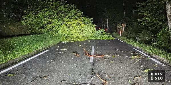 Un arbre est tombé sur la voiture d’une famille française qui campait illégalement dans la forêt près de Bohinj