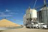 Zelenski: Ukrajina pripravljena izvažati žito brez ruskih jamstev 