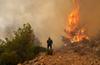 V Grčiji že tretji dan divjajo številni gozdni požari