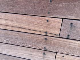  Foto: Radio Maribor/Bratko Zavrnik