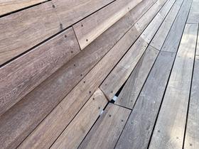  Foto: Radio Maribor/Bratko Zavrnik