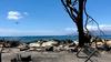 Požari najhujša naravna nesreča v zgodovini Havajev. Oblasti naročile nove evakuacije.