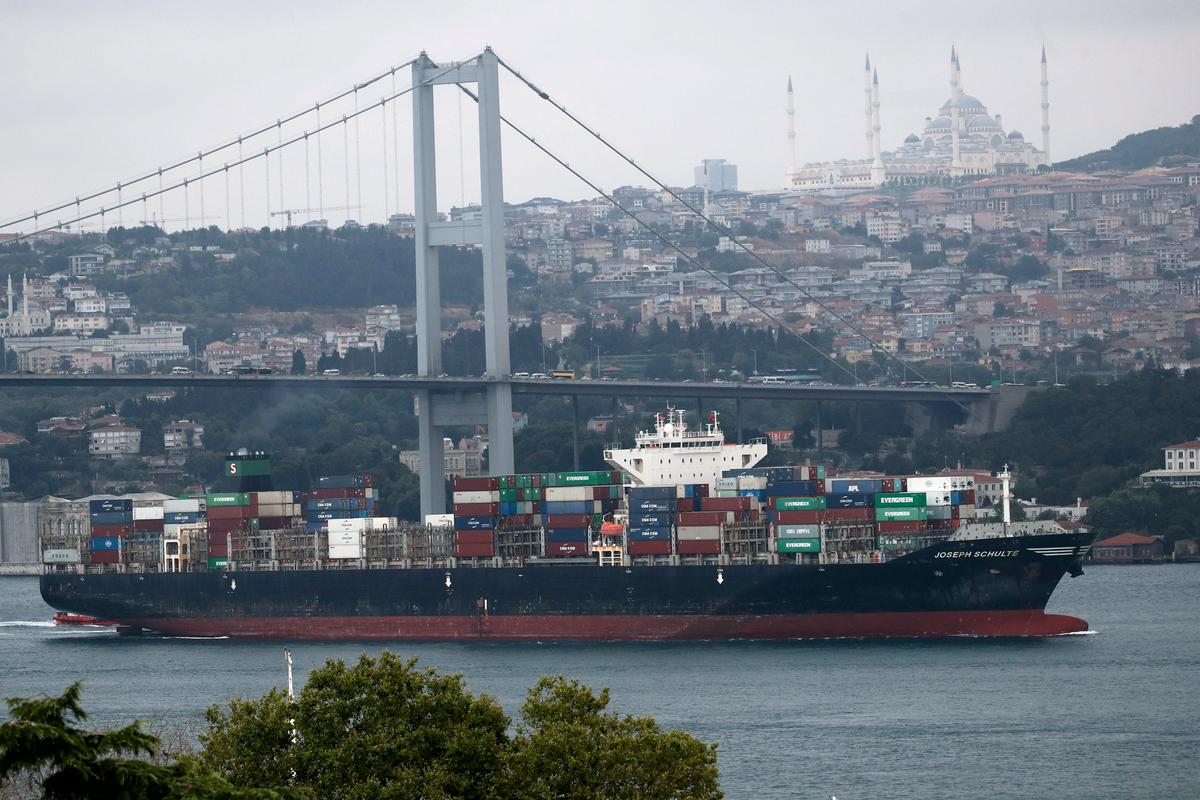 Prva ladja, ki je zapustila Ukrajino po koncu dogovora o izvozu žita, prispela v Turčijo