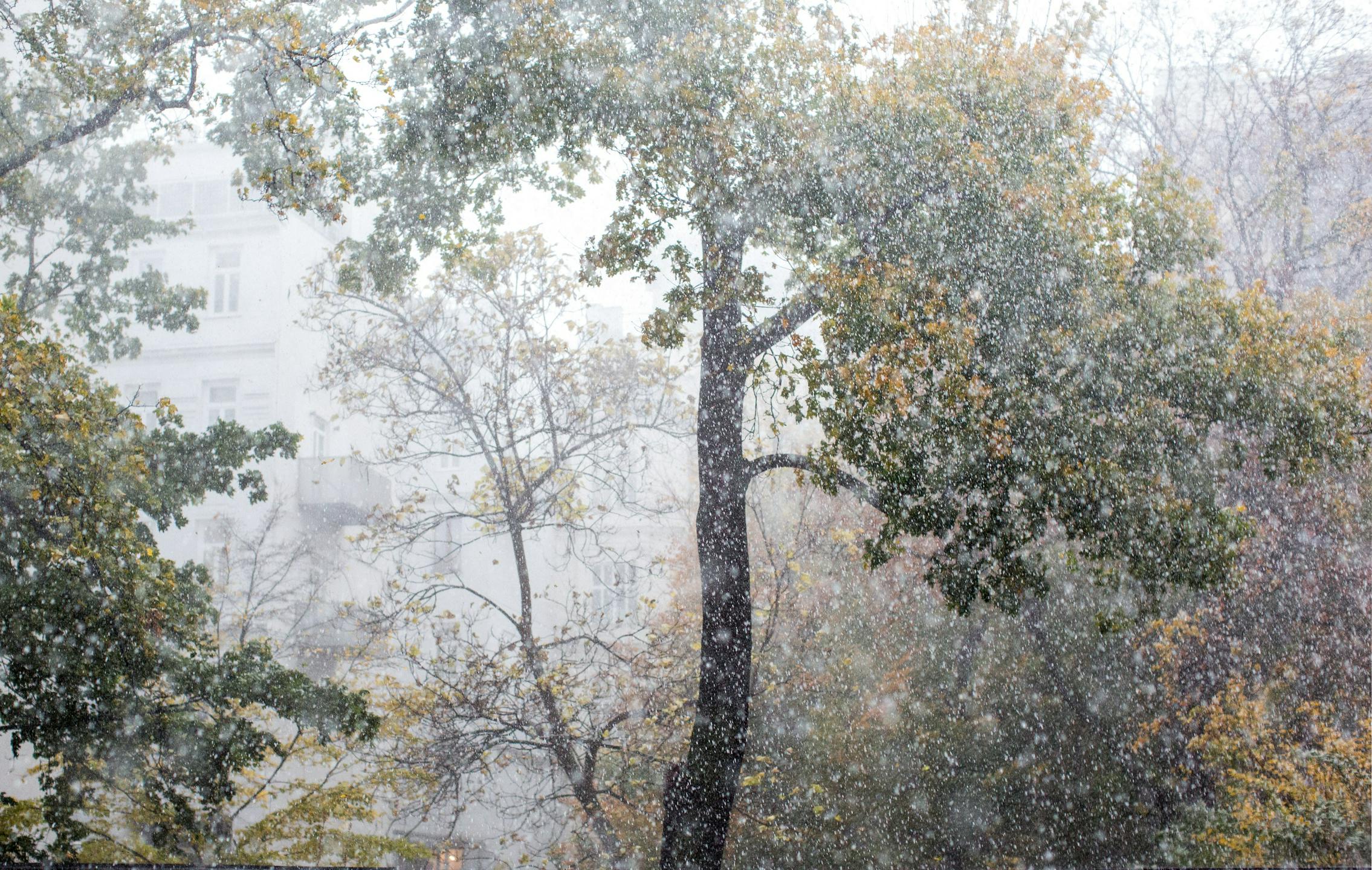 Popoldan postopno poslabšanje vremena. Ponoči možni močnejši nalivi.