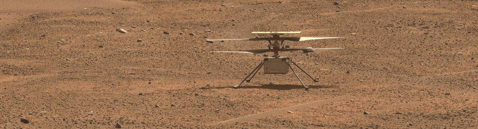 Trotek Ingenuity 2. avgusta na površju Marsa, fotografijo je posnel Perseverance. Foto: NASA/JPL-Caltech