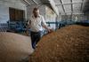 Poljska napoveduje enostransko podaljšanje prepovedi uvoza ukrajinskega žita