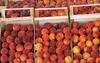 Uprava ni obveščala o pesticidih, ker je bilo sadje že teden dni razprodano
