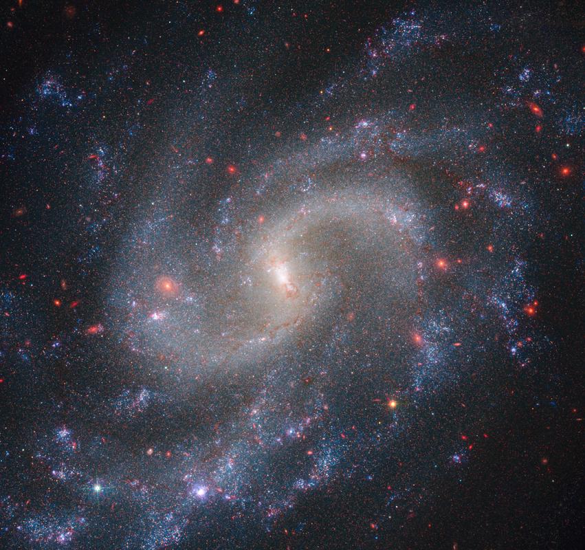 Osvetje NGC 5584. Fotografija združuje posnetke Hubblovega instrumenta WFC3 in Webbovega instrumenta NIRCam. Foto: NASA, ESA, CSA, Adam G. Riess (JHU, STScI), Alyssa Pagan (STScI)