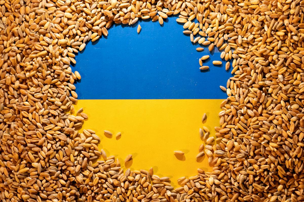 Ukrajina zaradi omejitev uvoza žita vložila tožbe proti Poljski, Madžarski in Slovaški