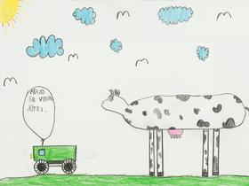 Maj Rajer Foto: Radio Slovenija