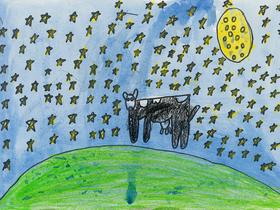 Elson Muharremi Foto: Radio Slovenija