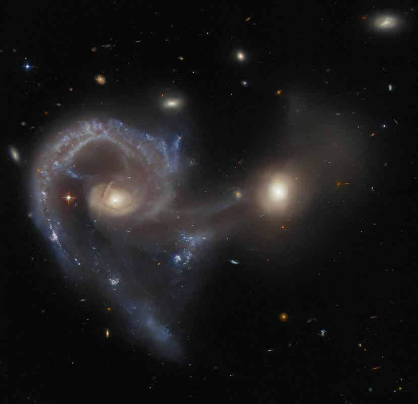 Arp 107 je od Zemlje oddaljen 465 milijonov svetlobnih let. Foto: ESA/Hubble & NASA, J. Dalcanton