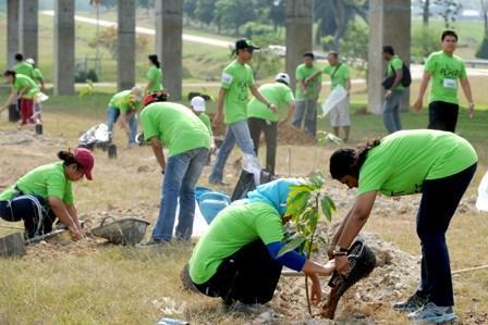 Malezijska univerza je zasadila 1000 dreves. Foto: https://upm.edu.my/content/finance_company_upm_planted_1000_trees_to_turn_campus_green-24998 Foto: PiNA