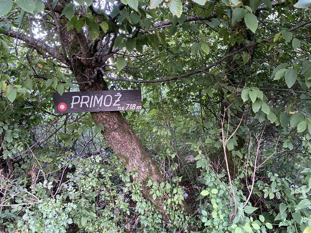 Vse se je začelo z vzponi na Primoža (in spusti), majhen hribček leži nad Pivko. Foto: MMC RTV SLO