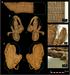 Sandali, ki so jih izdelali v neolitski Španiji, so se ohranili 6000 let